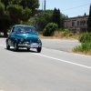 Montevago 2010 (474)